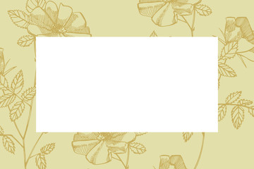 Wild rose flowers drawing and sketch illustrations. Decorative floral set for fabric, textile, wrapping paper, card, invitation, wallpaper, web design. Card template on romantic background