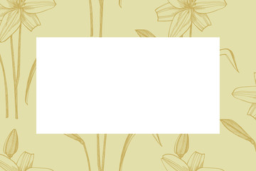 Lily flowers. Botanical illustration. Good for cosmetics, medicine, treating, aromatherapy, nursing, package design, field bouquet Hand drawn wild hay flowers