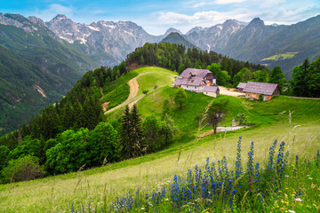 Logar valley view from the Solcava panoramic road, Slovenia - obrazy, fototapety, plakaty