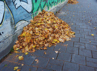 Cleaning fallen leaves in the streets of cities and parks in the fall by utilities.