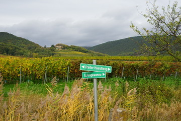 Wegschilder in den Weinbergen bei St. Martin in Rheinland-Pfalz