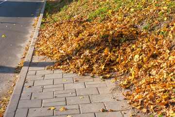 Cleaning fallen leaves in the streets of cities and parks in the fall by utilities.