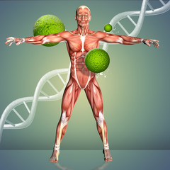 3d render of a medical background with male over virus cells and DNA strand