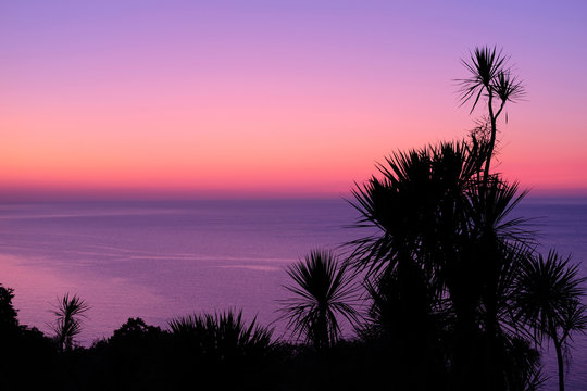 Silhouette of the palm trees at colorful sunset