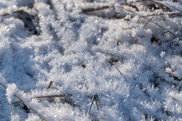 Close-up of ice crystals on a frozen lake ice
