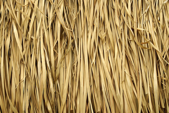 Seamless Straw Roof Texture This is a free collection of roof textures ...