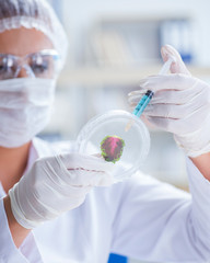 Female scientist researcher conducting an experiment in a labora