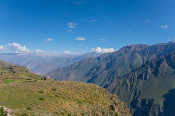 Canyon Colca near to Arequipa (Peru)