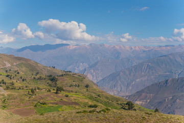 Canyon Colca near to Arequipa (Peru)
