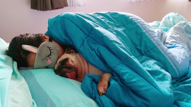 (With funny sound of dog snore) Sweet asian woman with mask and cute puppy pug dog is sleeping rest in a bed.