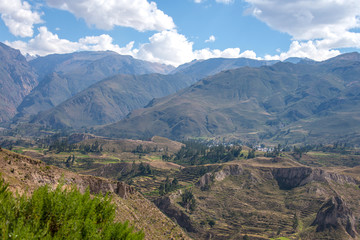 Canyon Colca near to Arequipa (Peru)