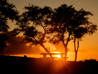 Powerful golden sunset at the park in Maui, Hawaii