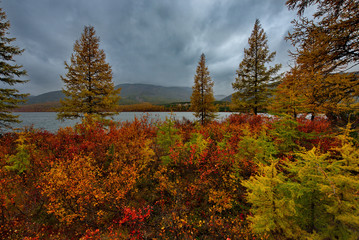 Russia. Magadan. The amazing beauty of the autumn of the Far East. The lake Maxi
