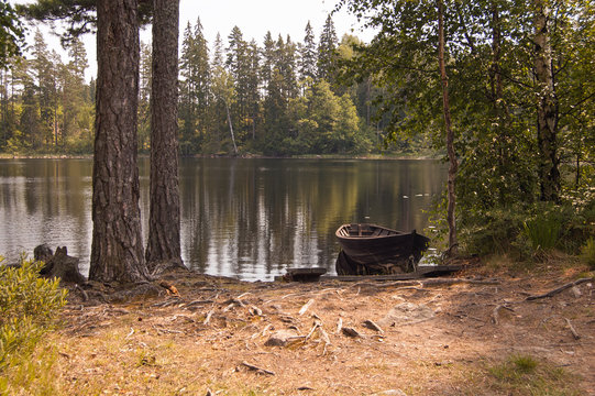 Boat in forest lake