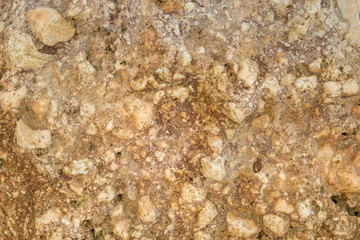 Stone texture. Beige rock background. Surface of the rock. Close up of rock texture. Background for design. Copy space.