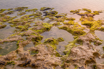 Low tide at the beach. Scenic waterscape. Seascape during sunset. Background for design. Copy space.