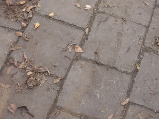 grey tile square