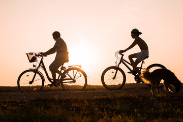 Boy and senior woman riding bikes, dog nearby bicycles, silhouettes of riding persons at sunset  in nature