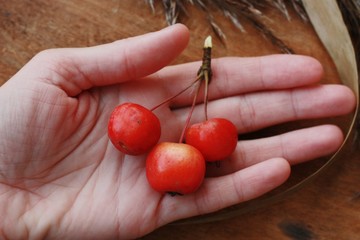 Grey wooden background and red apples close up