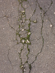 Obraz premium grey asphalt with crack