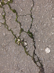 Obraz premium grey asphalt with crack