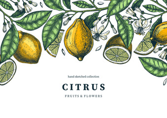 Ink hand drawn citrus fruits frame design. Vector lemons background with fruits, flowers, seeds, leaves sketches. Perfect for banners, greeting cards, invitations, prints. Lemon outlines template