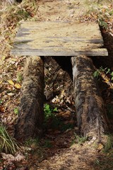 Wooden bridge with foliage in the forest