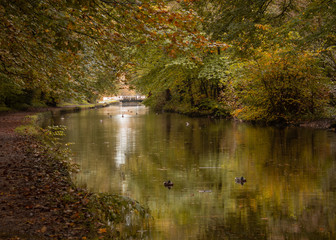 A long-exposure photo along the Leeds & Liverpool Canal towards HIrst Lock with the vibrant autumn colours reflecting in the water