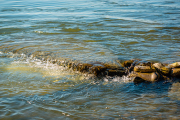 The Lachine Rapids, Canada