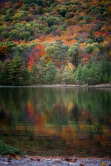 Fototapeta na wymiar autumn landscape with lake and trees with brilliant fall foliage colors