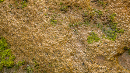 Rock background. Stone texture. Wet rock on the ocean bottom during low tide. Stone with green seaweeds. Surface of the stone. Background for design. Copy space.