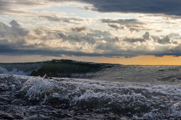 Fototapeta premium Stormy sea, waves are crashing on the shore