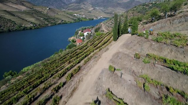 Aerial view of the Douro River and the surrounding terraced slopes and a wine making estate in Portugal, Europe; Concept for travel in Portugal, visit Portugal and most beautiful places in Portugal