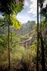 Vue sur le pont Demodara des Neuf Arches ou le Pont dans le ciel. Le Pont des Nine Arch  près de la ville d'Ella, au Sri Lanka - obrazy, fototapety, plakaty