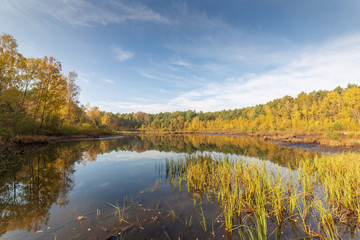 Small lake in forest, autumn landscape