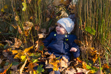 Horizontal portrait of adorable baby boy sitting in dry leaves and ornamental grasses during a beautiful late fall afternoon