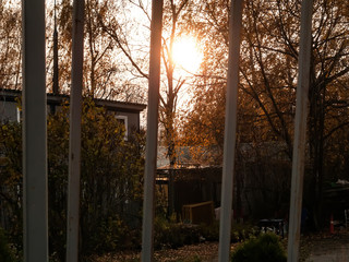 house of auxiliary workers in the Park in autumn, Moscow.