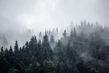 Misty mountain landscape