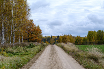 countryside road in autumn