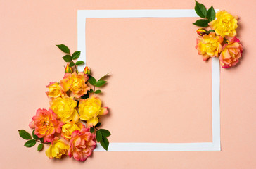 Naklejka na ściany i meble Yellow and orange roses arrangement on pastel background