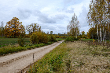 Fototapeta na wymiar countryside road in autumn