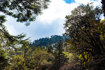 Obraz premium LungchuTse Dochula Bhutan