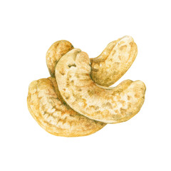 Cashew peeled nut watercolor illustration. Hand drawn illustration of dry raw organic Anacardium occidentale nut isolated on white background.