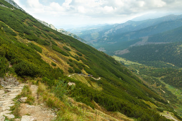 Forests and mountain vegetation in the Polish Tatras