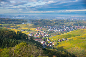 Herbstliche Weinberge in Durbach in der Ortenau