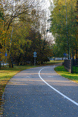 Obraz premium countryside road in autumn