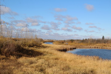October Day, Pylypow Wetlands, Edmonton, Alberta