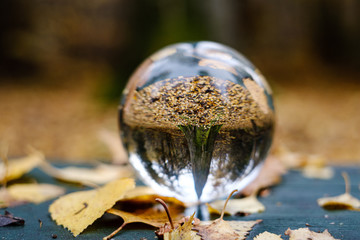 crystal glass ball against nature background with reflections