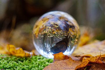 crystal glass ball against nature background with reflections