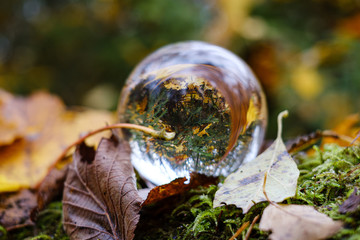 crystal glass ball against nature background with reflections